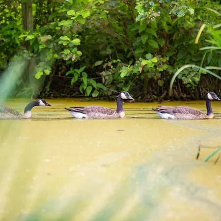 Apartamento Op Adem Komen Op De Mooiste Plek In Het Heuvelland-de Boswachter