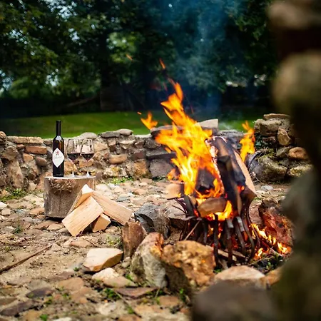 Op Adem Komen Op De Mooiste Plek In Het Heuvelland-de Boswachter *