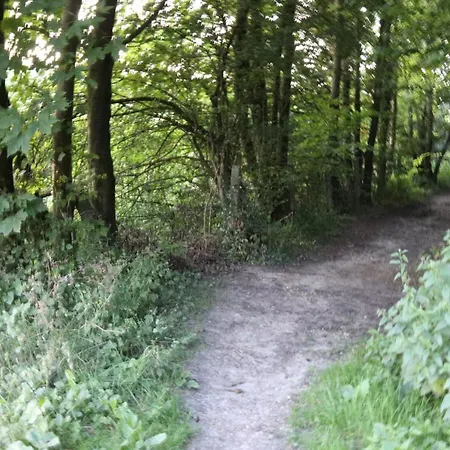 Op Adem Komen Op De Mooiste Plek In Het Heuvelland-de Boswachter