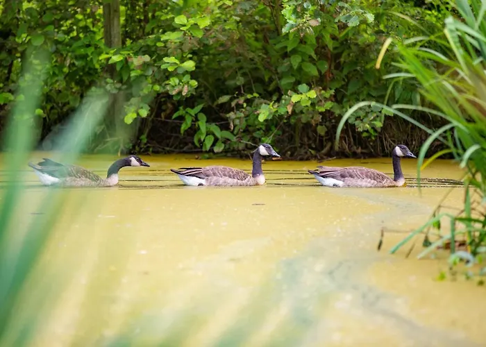 Apartment Op Adem Komen Op De Mooiste Plek In Het Heuvelland-de Boswachter